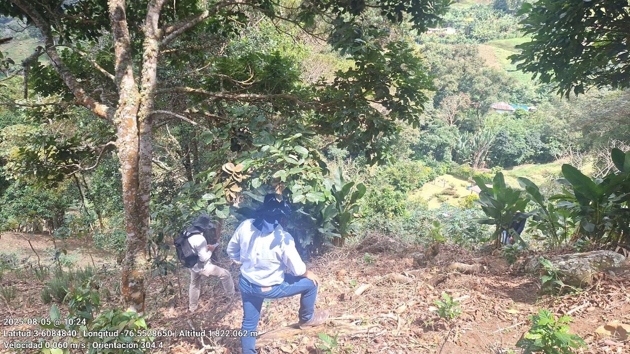 Recorrido de predio en Yumbo con el sello de fecha, coordenada y altitud impreso por la aplicación de campo.